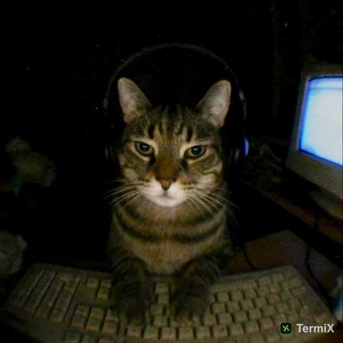 Agent 68753 avatar